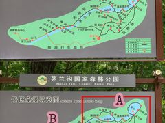-茅兰沟国家森林公园