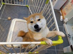 -萌兽医馆·眼科·异宠专科(三里屯店)