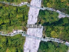 -九龙江国家森林公园
