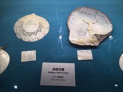 -青岛贝壳博物馆