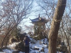 -紫金山山顶公园