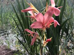 -昆山城市生态森林公园