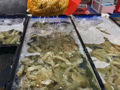 -登州市场(登州路店)