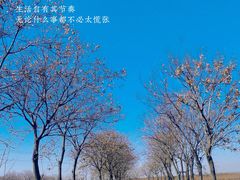 -秦岭风景区