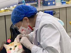 -极光口腔·矫正种植修复(锦江店)