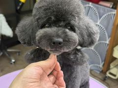 -爱派特动物医院·全科诊疗中心