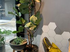 -Maxpoint Kitchen 西餐咖啡(乐峰广场店)