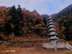 -遵化市禅林寺古银杏风景园