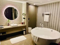 -南京禄口机场雅高铂尔曼大酒店