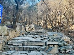 -北京鹫峰国家森林公园