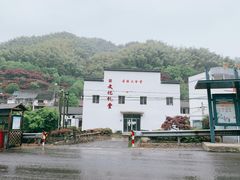 -四明山国家森林公园