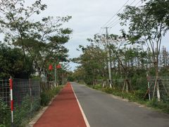 -上海长兴岛郊野公园