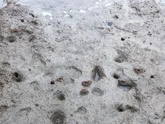 -东寨港红树林旅游区