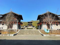 -大唐贡茶院