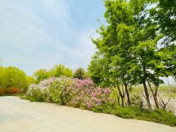 -大望京儿童游乐场