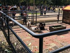 -长白岛森林公园