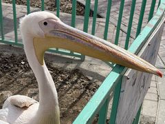 -水上乐园·欢乐世界