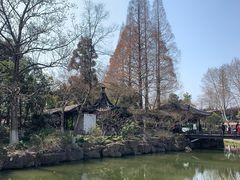 -红梅公园