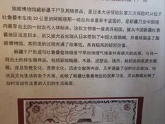 -旅顺博物馆