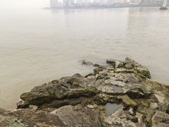 -江心屿景区