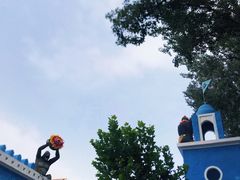 -北京野生动物园