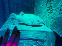 -沈阳海洋探索中心