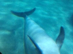 -福州罗源湾海洋世界旅游区