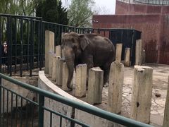 -大连森林动物园