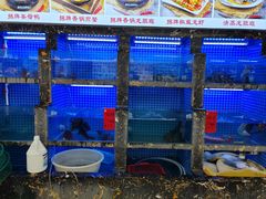 -鑫鸿达·海鲜闽菜热炒小馆(中山路店)
