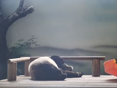 -苏州太湖国家湿地公园