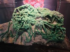 -湖南省地质博物馆