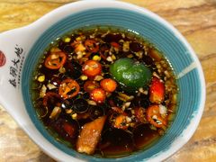 -春润大地海南椰子鸡(沙井京基百纳广场店)