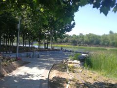 -大兴滨河森林公园