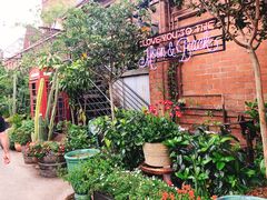 -The Grounds of Alexandria