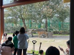 -上海野生动物园老虎餐厅