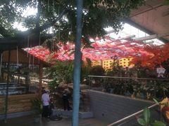 -君临七星生态酒店