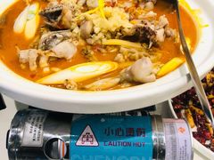 自制泡菜牛蛙锅-付掌柜在成都·热炒砂锅集(金禾店)