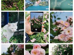 -天鹅湖体育公园