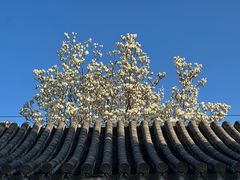 -北京石刻艺术博物馆(五塔寺)