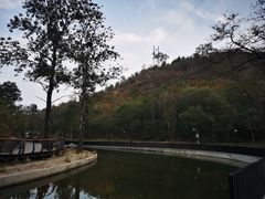 -白水寺森林公园