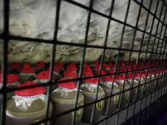 -佛爷洞旅游景区