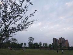 -府河摄影公园