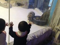 -华夏文旅海洋公园