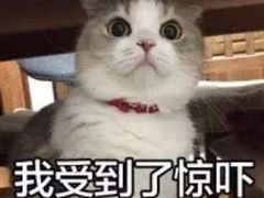-鼎盛蜀坊·重庆江湖菜(市桥地铁站店)
