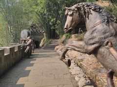 -铁山坪森林公园