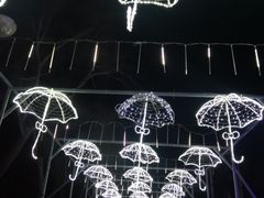 -青龙湖公园