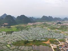 -会仙湿地