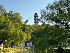 -江心屿景区