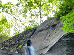 -蛇蟠岛