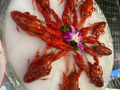 -京悦南门涮羊肉·羊蝎子火锅(田林路店)